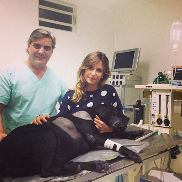 Luisa Mell acompanha cirurgia de sua cachorrinha