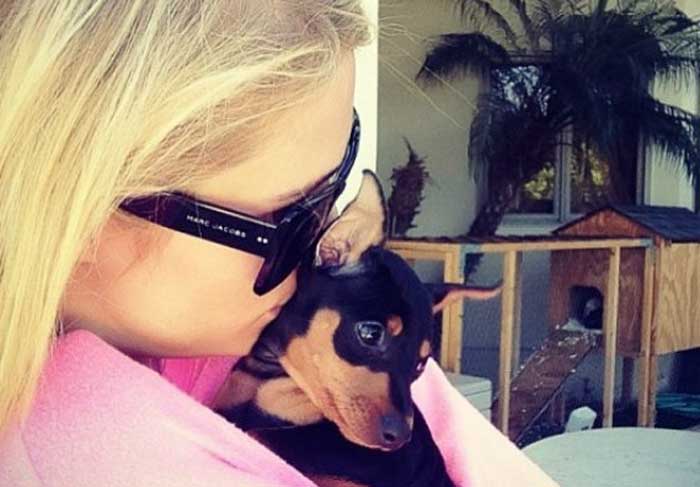 Paris Hilton leva seu cachorrinho para a piscina