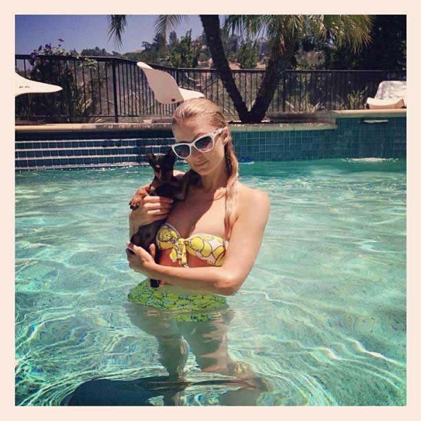 Paris Hilton leva seu cachorrinho, Dollar para a piscina O Fuxico
