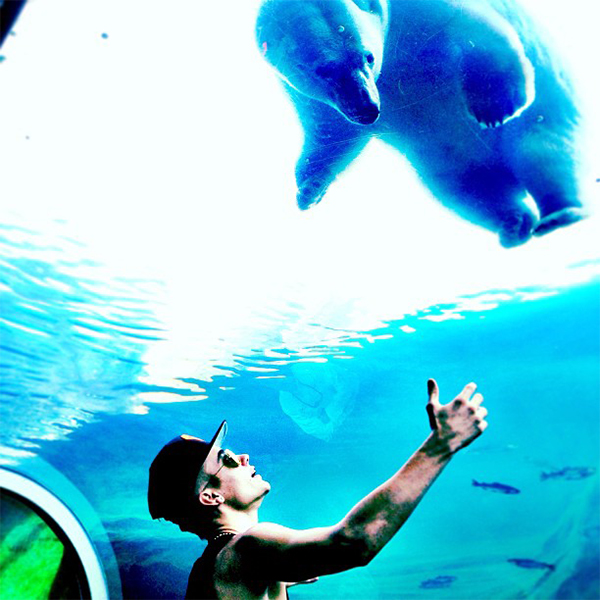 Justin Bieber posta foto com urso polar: “Sonhe alto”