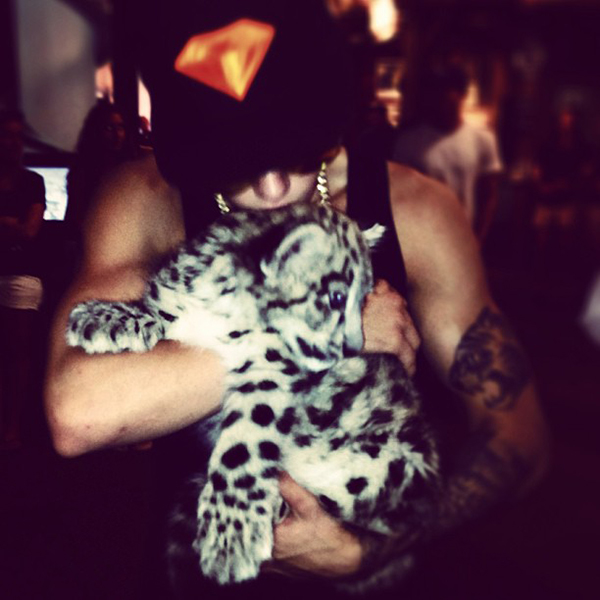 Justin Bieber posta foto com urso polar: “Sonhe alto”