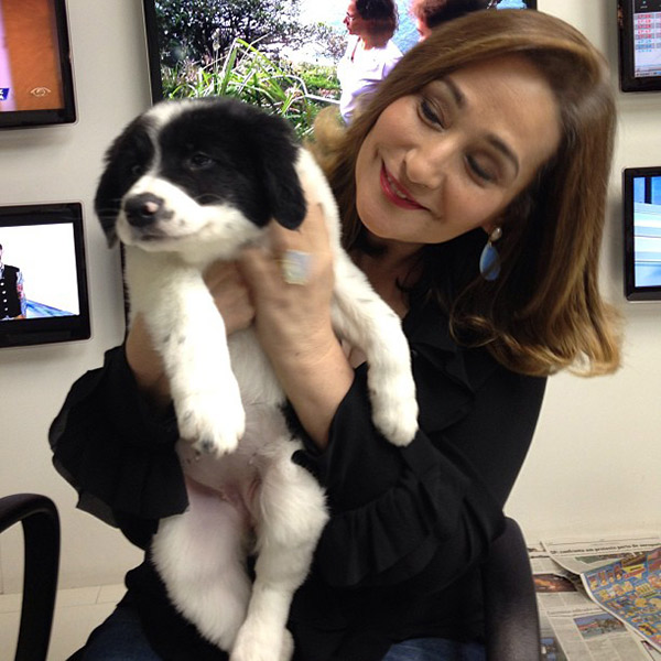 Sônia Abrão mostra sua nova cachorrinha Colomba