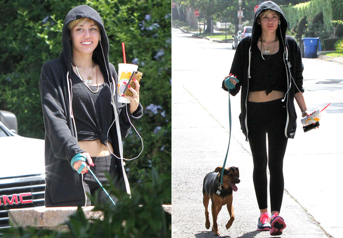 Miley Cyrus sai sem maquiagem para levar seu cachorro para passear 