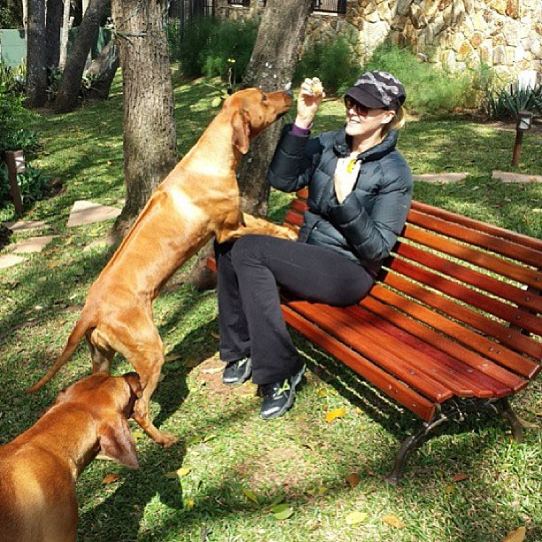 Ana Hickmann se diverte em brincadeira com sua cachorra