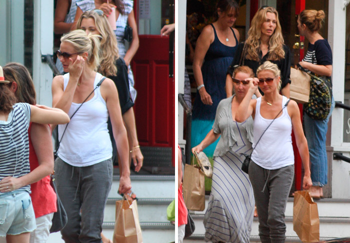 Cameron Diaz e Drew Barrymore compram suprimentos para piquinique 