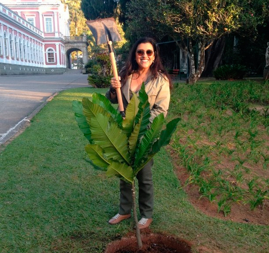 Regina Casé planta árvore extinta desde a época de Dom Pedro II