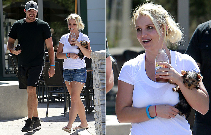 Britney Spears leva seu pet minúsculo para passear, mas não o tira do colo