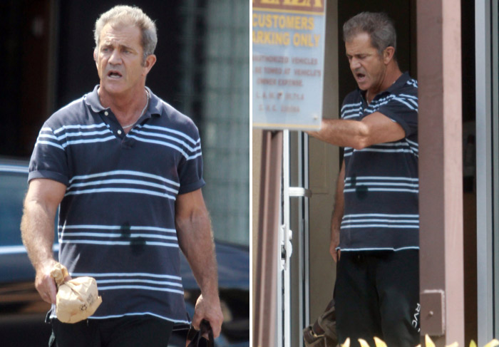 Mel Gibson se irrita com policiais após ser parado em blitz