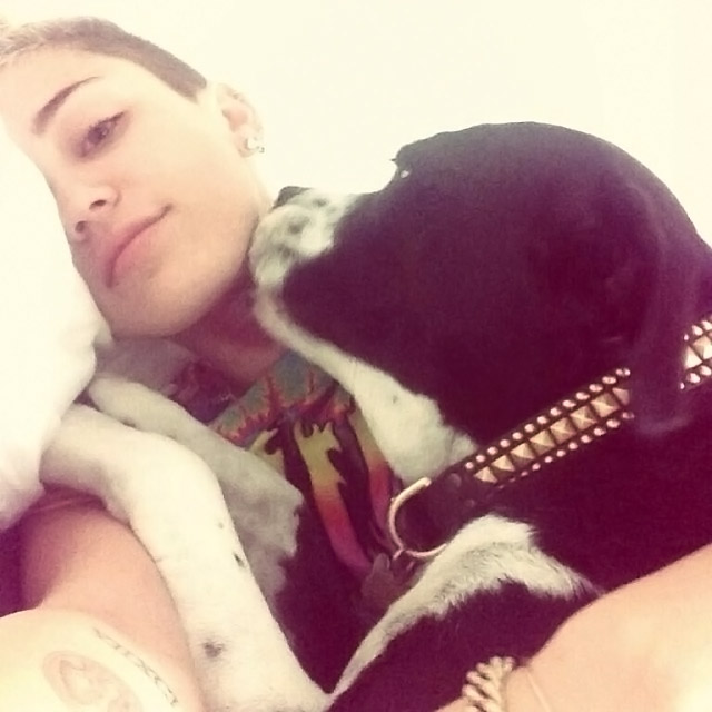 Miley Cyrus exibe momento fofura com seu PET