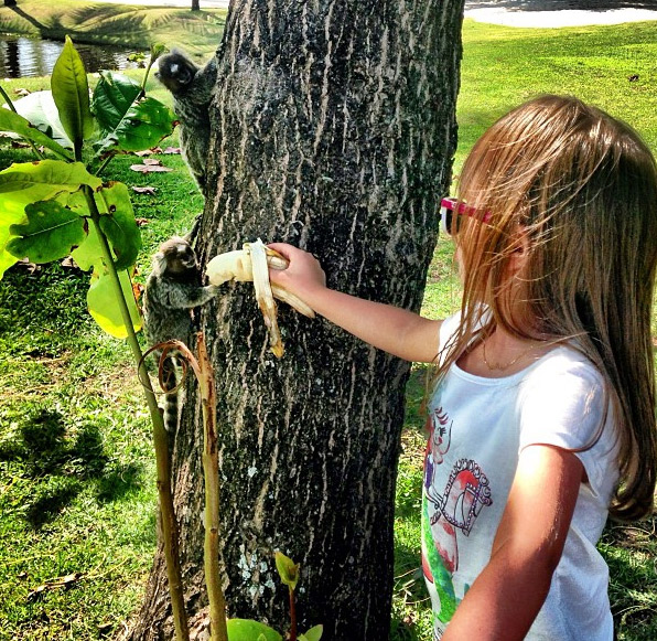 Rafaella Justus dá banana para macaco durante férias na praia