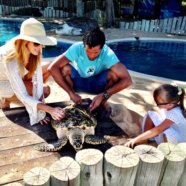 Ticiane Pinheiro leva a filha para conhecer tartarugas marinhas