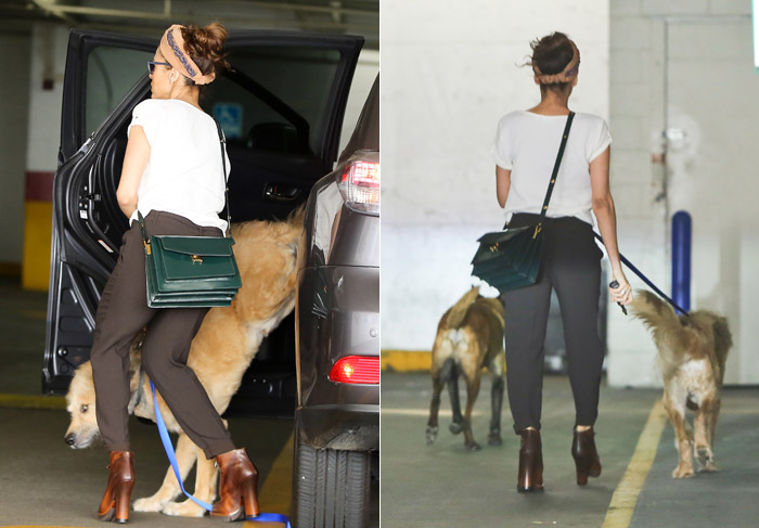  Eva Mendes passeia com cachorro dela e de seu namorado Ryan Gosling