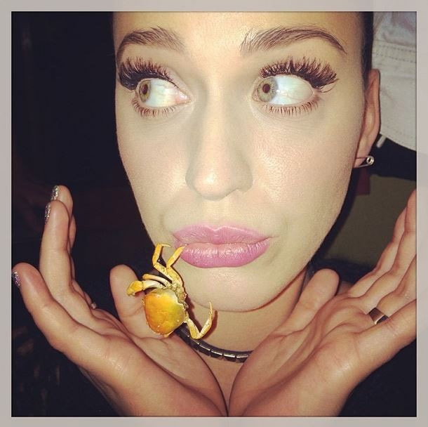 Katy Perry tira foto com caranguejo na boca