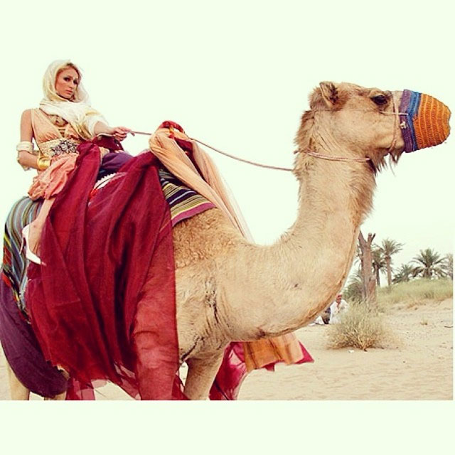 De salto alto, Paris Hilton monta em camelo