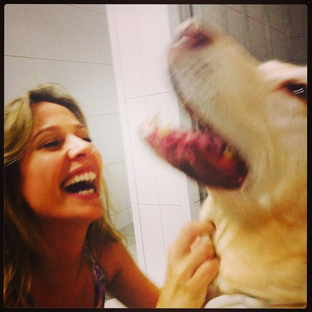 Após susto, final feliz para Luisa Mell e seu cão Marley!,