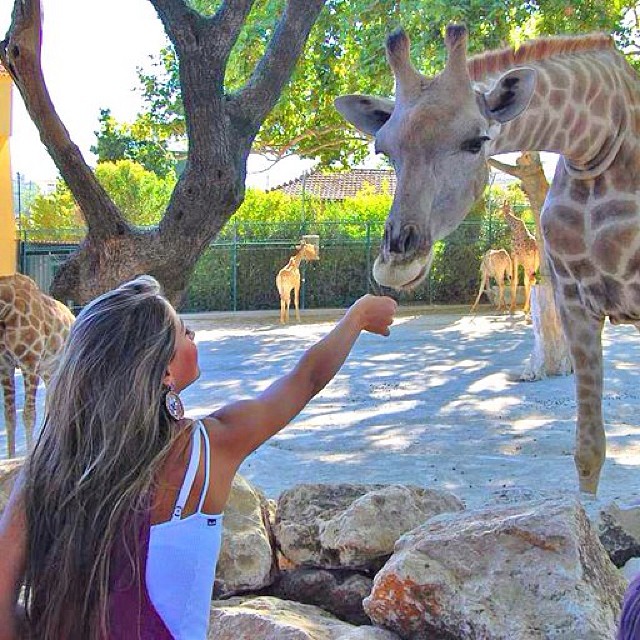 Mayra Cardi faz passeio no zoológico