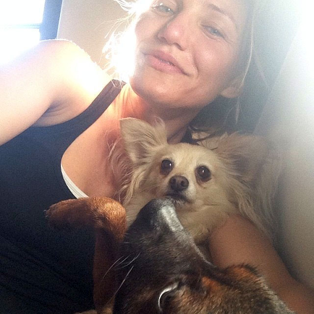 Sem maquiagem, Cameron Diaz posta foto com seus cachorros