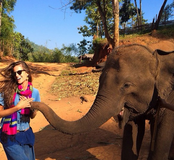  Izabel Goulart se encanta com elefante na Tailândia