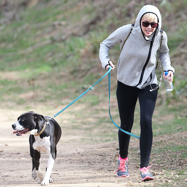 Miley Cyrus leva sua pet para passear nas montanhas de Los Angeles