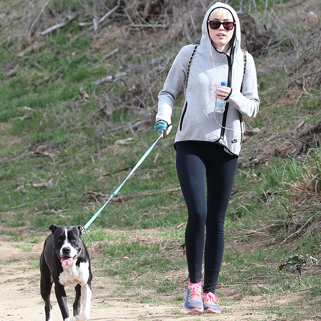 Miley Cyrus leva sua pet para passear nas montanhas de Los Angeles