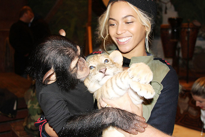 Beyoncé se encanta com animais exóticos no aniversário da filha