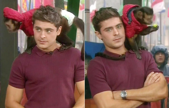 Zac Efron grava programa de TV com macaco no ombro