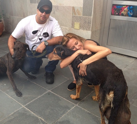 Luisa Mell resgata cães doentes depois de muito trabalho