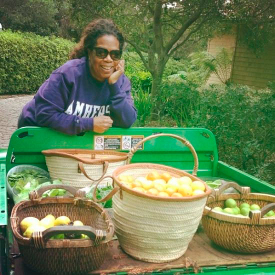  Sem glamour, Oprah Winfrey faz colheita em sua horta 