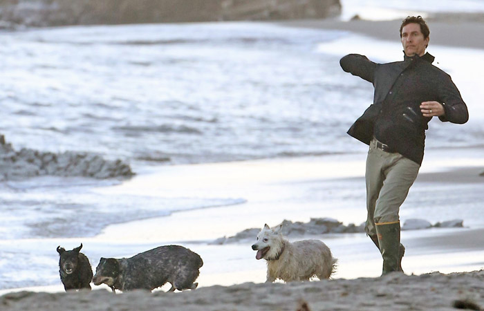 Matthew McConaughey e Camila Alves curtem praia com os filhos