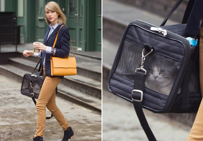 Taylor Swift passeia por Nova York com gata de estimação