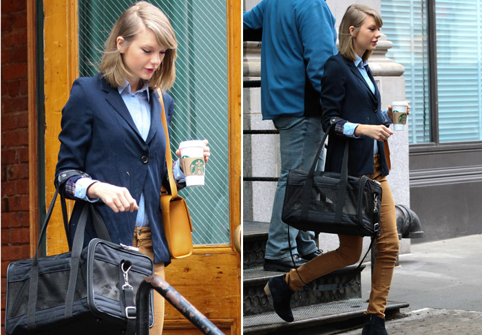 Taylor Swift passeia por Nova York com gata de estimação