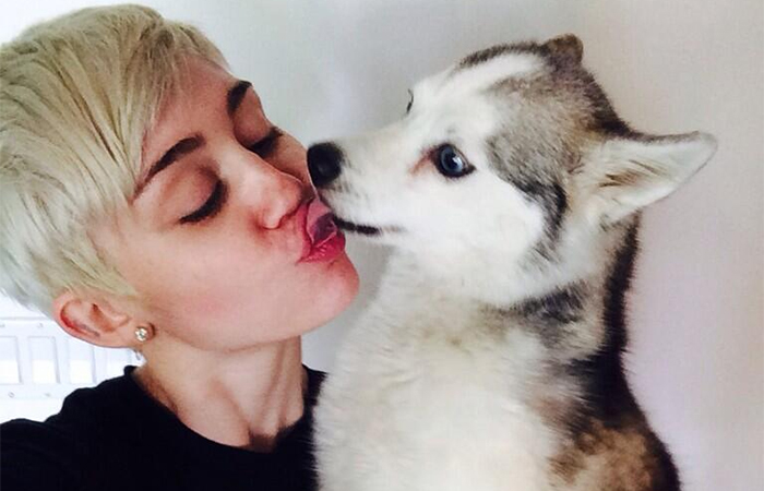 Miley Cyrus sofre com falecimento de seu cachorrinho de estimação
