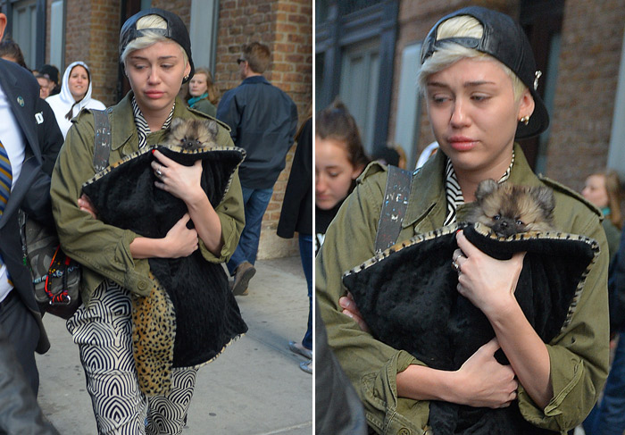 Com cara de choro, Miley Cyrus circula com novo filhote por Nova York