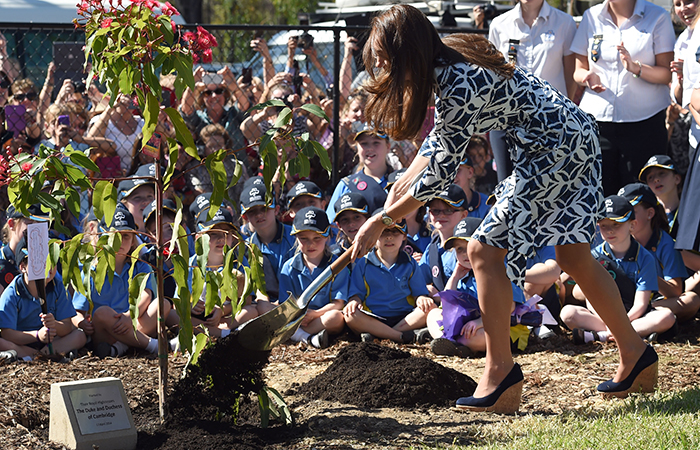  Mesmo com salto alto, Kate Middleton planta árvore na Austrália