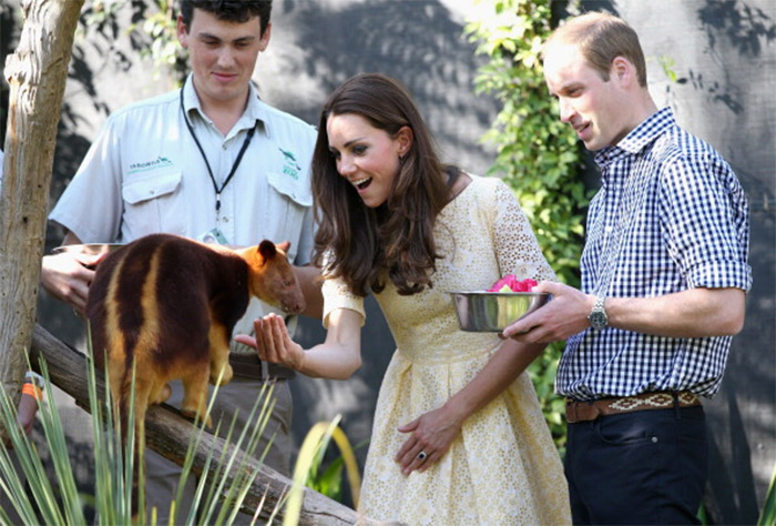 Príncipe George se diverte com animais do zoológico da Austrália