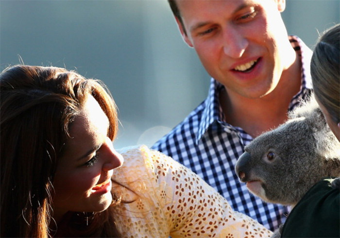 Kate Middleton e príncipe William se encantam com coala