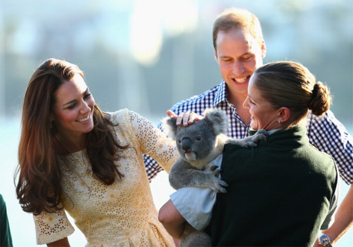 Kate Middleton e príncipe William se encantam com coala