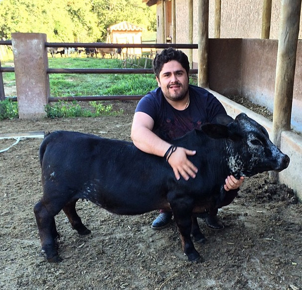 César Menotti posa com mini boi e pede ajuda para dar nome ao bovino