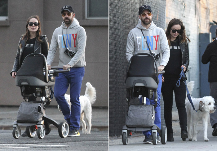  Olivia Wilde passeia com o filho e o cachorrinho