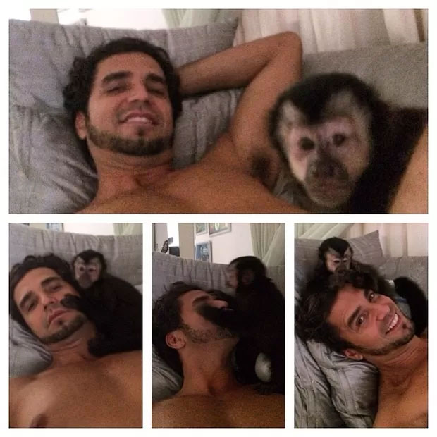 Latino se diverte com seu macaco de estimação