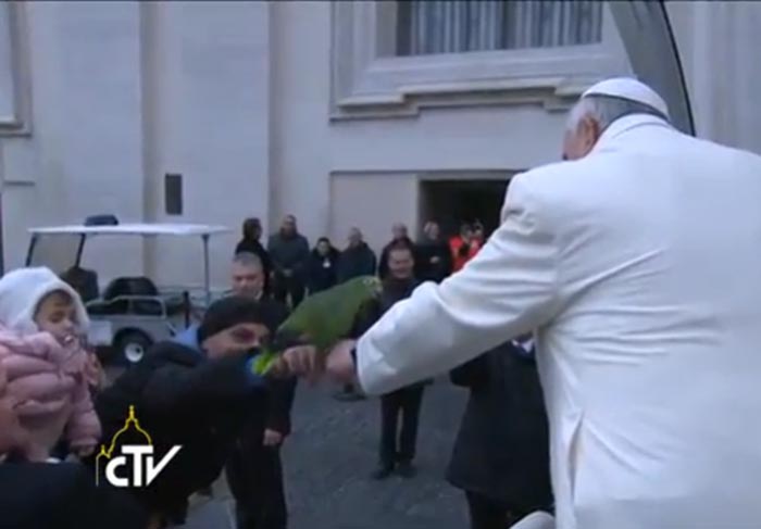 Papagaio do Papa Francisco fará previsões para jogos da Copa em emissora italiana