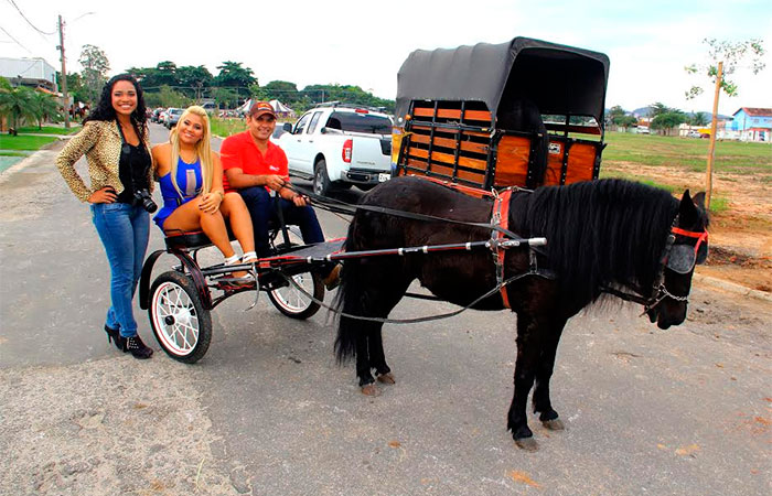  Mulher Filé é coroada rainha de cavalgada da Copa