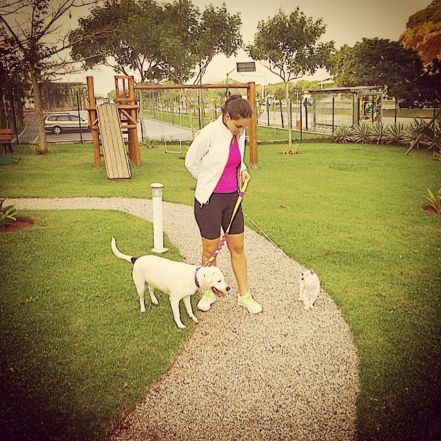 Débora Nascimento se atrapalha com pets durante passeio