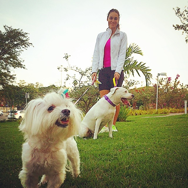 Débora Nascimento se atrapalha com pets durante passeio