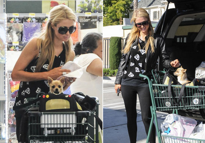 Paris Hilton faz compras na companhia de seu cachorro