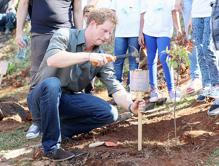 Príncipe Harry visita projeto social no litoral de São Paulo