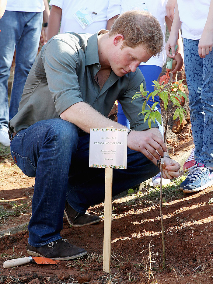 Príncipe Harry visita projeto social no litoral de São Paulo