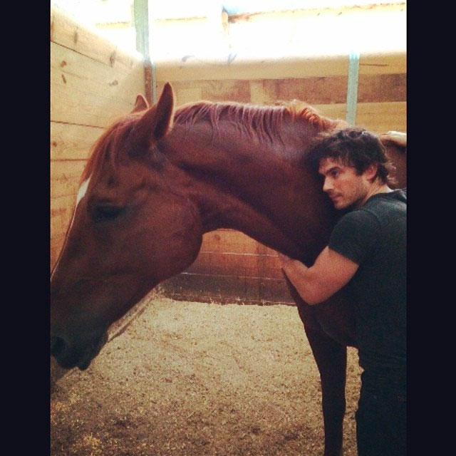 Ian Somerhalder adota cavalo: ‘Novo pai com orgulho!’