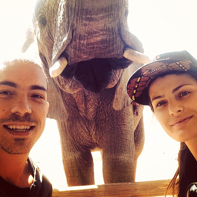 Isabelli Fontana e Di Ferrero posam com elefante em safari na África