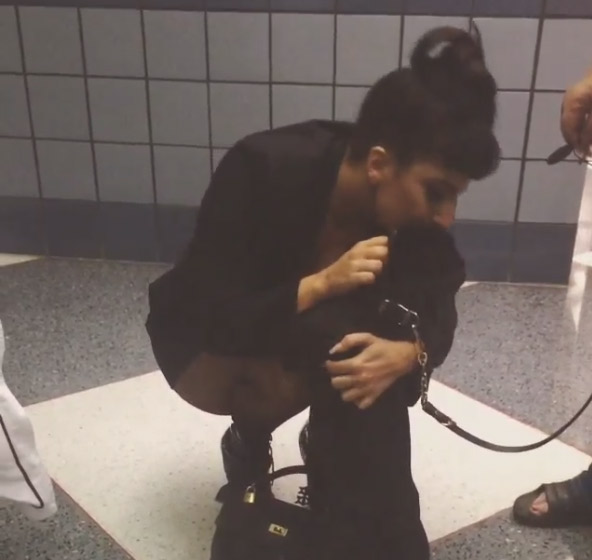 Lady Gaga é recebida por sua cadelinha ao chegar no aeroporto de Los Angeles